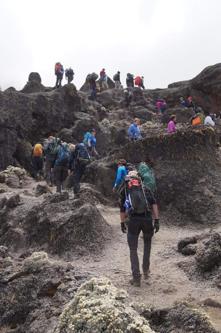 De expeditie onderweg naar de top van de Kilimanjaro