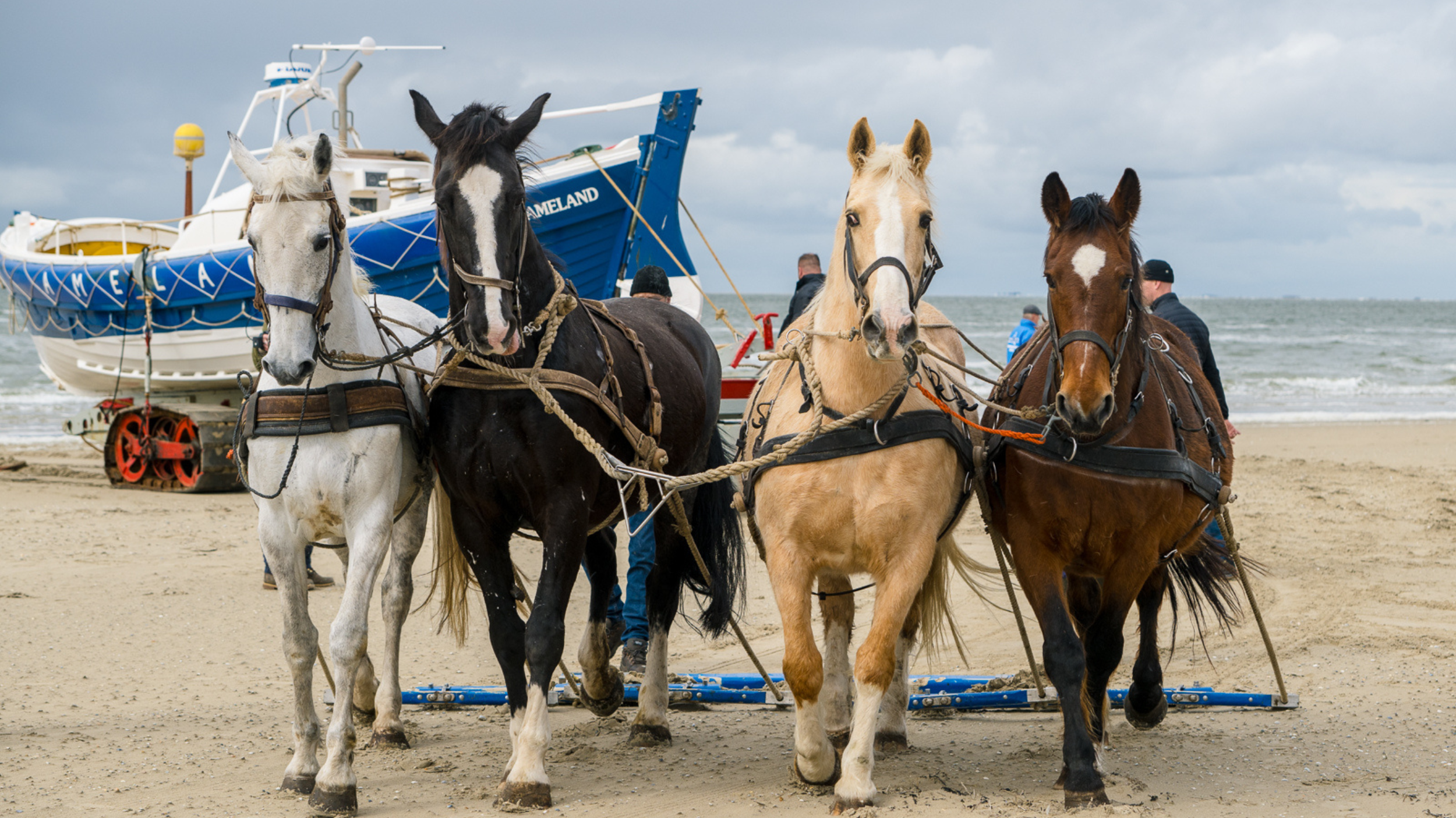 ramp paardenreddingboot 5